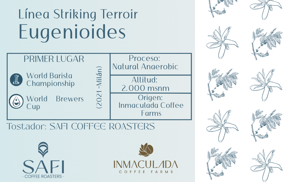 Eugenioides Striking Terroir